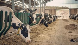 Q3 2025 dairy market review